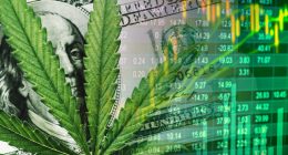 top marijuana stocks