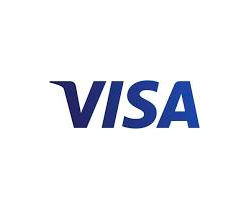 Visa Stock (V Stock)