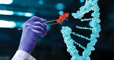 what stocks to invest in 2021 (gene editing stocks)
