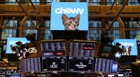 stock market today (chewy stock)